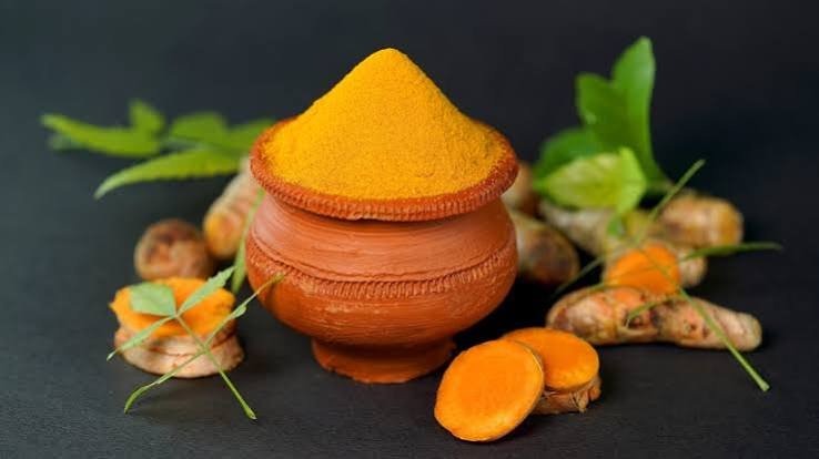 Golden turmeric rhizomes and powder